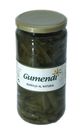 Borraja cons gumendi