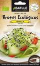 Semillas para germinar de cebolla bio