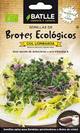 Semillas para germinar de col lombarda bio