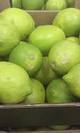 Limon redrojo