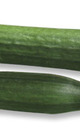 Pepino largo holandes