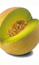 Melon galia