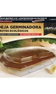 Bandeja germinadora