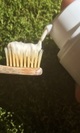Pasta de dientes