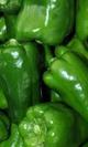 Pimiento de asta verde