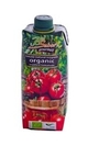 Tomate triturado 500 ml eco biosabor