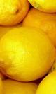 Limon granel