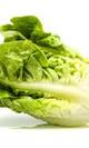 Lechuga miniromana