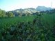 Finca Ecológica Las Lindes