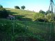 Finca Ecológica Las Lindes