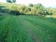 Finca Ecológica Las Lindes