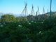 Finca Ecológica Las Lindes