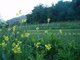 Finca Ecológica Las Lindes