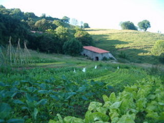 Nuestra huerta