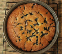 Tarta de arándanos
