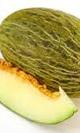 Melon piel de sapo