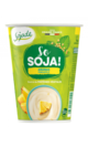 Sojade 400 grs pina bio pvr 374