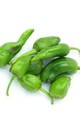 Pimiento freir padron 300 gr