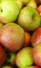 Manzana silvestre