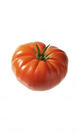 Tomate marmande