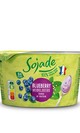 Yogur arandanos 150gr bio de sojade