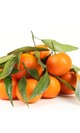 Mandarina fortuna