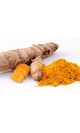 Curcuma ecologica 