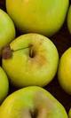 Manzana golden
