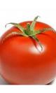 Tomate plaza