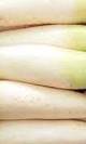 Rabano daikon
