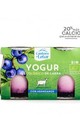 Yogurt cabra arandanos 2 x125 grs eco letur pvr 269