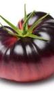 Tomate txapeldun