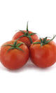 Tomate redondo
