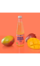 Kombucha mango 330 ml eco viverdrinks